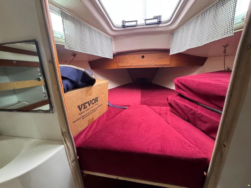 Contessa 32