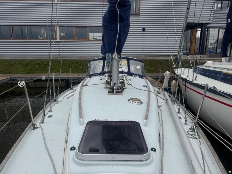 Contessa 32