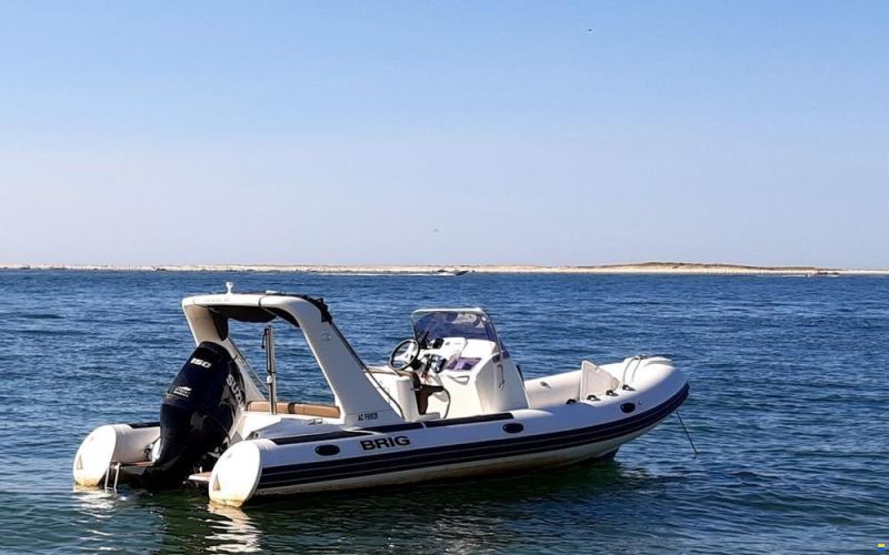 Brig EAGLE 650