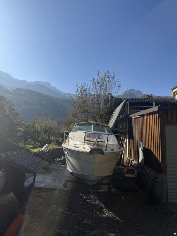 Sea Ray Srw 260