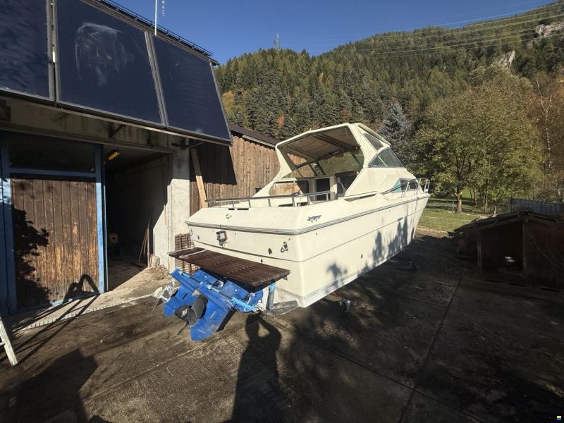 Sea Ray Srw 260