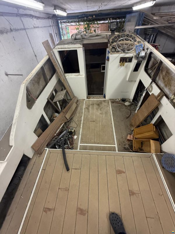 Sea Ray Srw 260