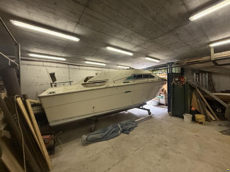 Sea Ray Srw 260