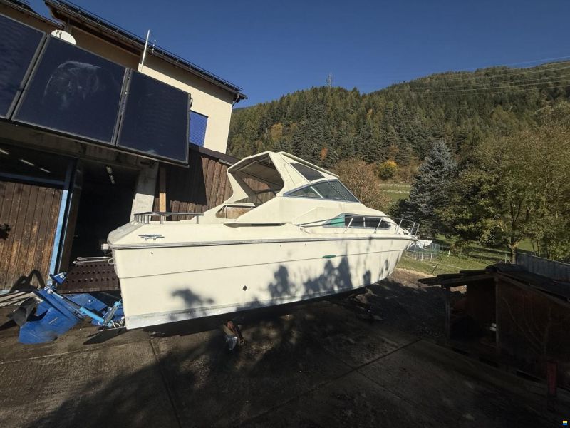 Sea Ray Srw 260