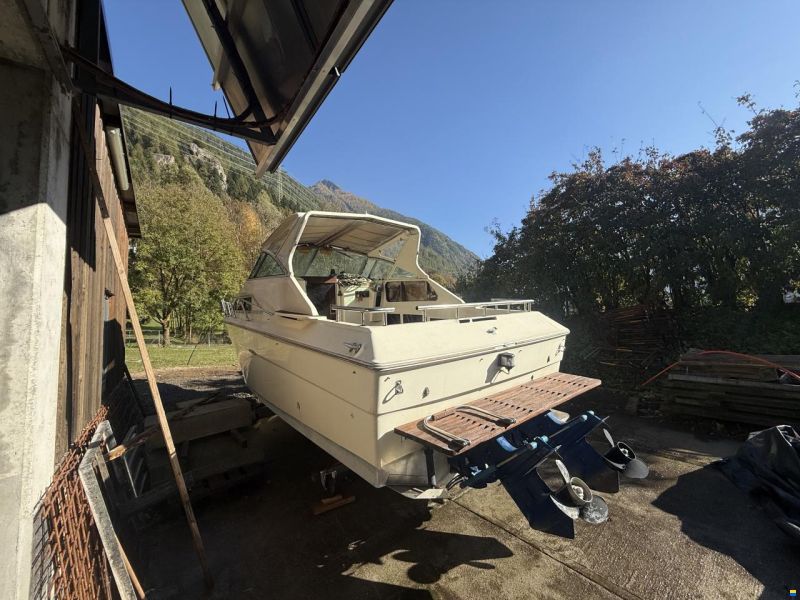 Sea Ray Srw 260