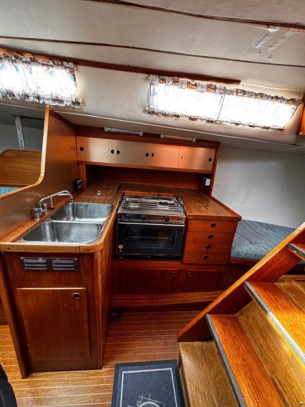 Tailwind 36