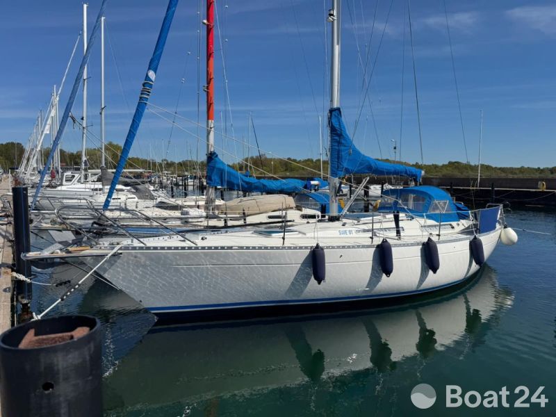 Tailwind 36