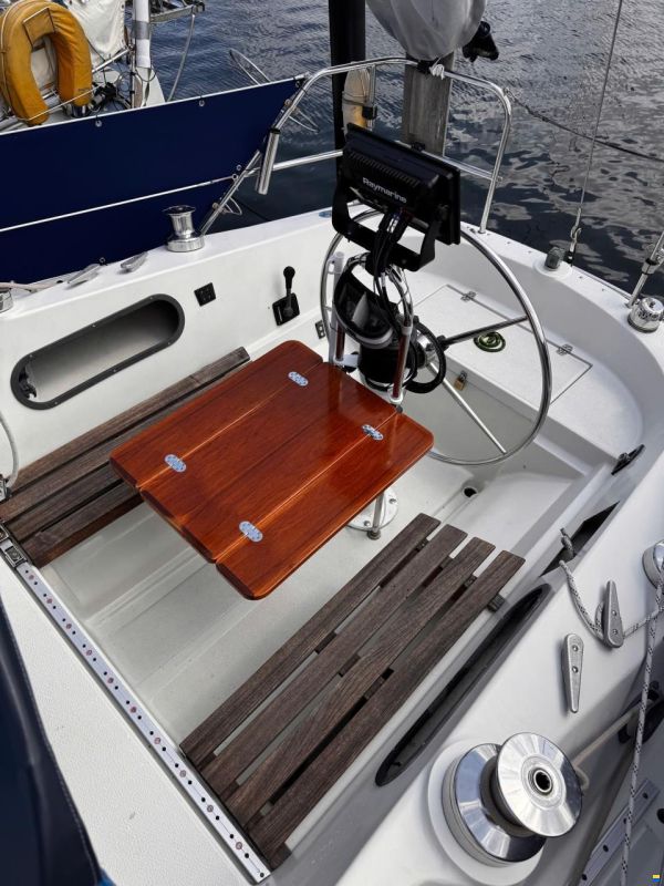 Tailwind 36