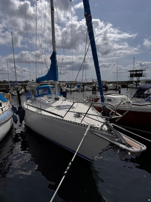 Tailwind 36