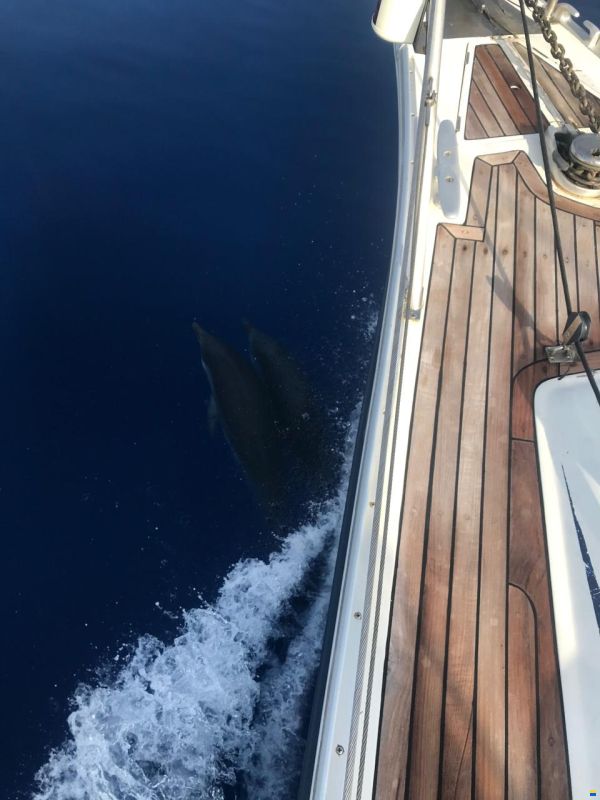 Ocean Star 51.2