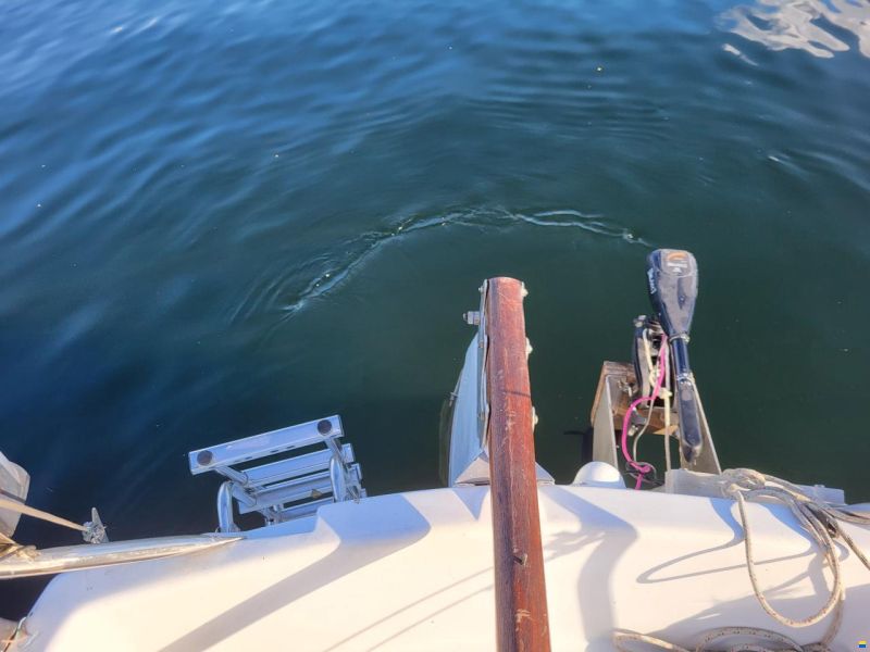 Rebell 25 Hubkiel