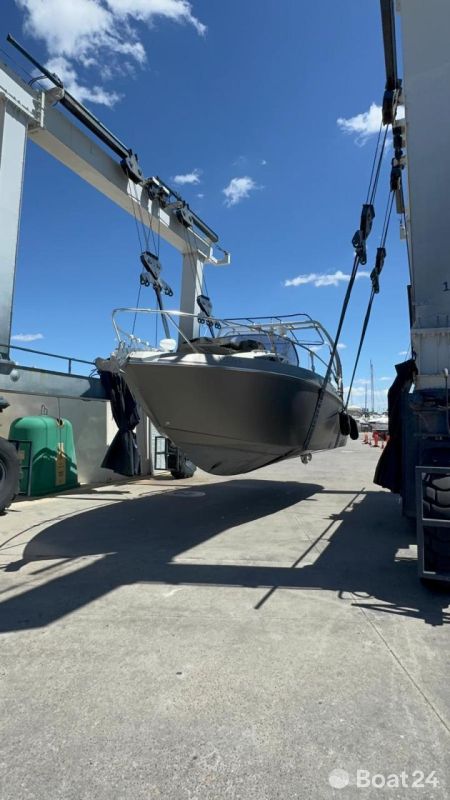 Cranchi Endurance 30