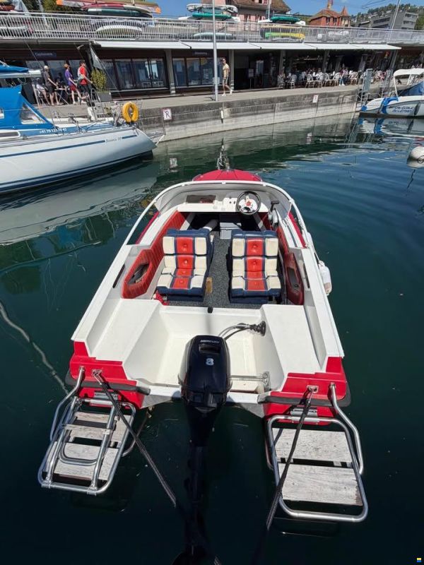 Ocqueteau Boxer 44