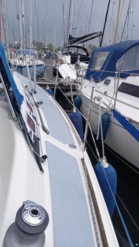 Dehler 29