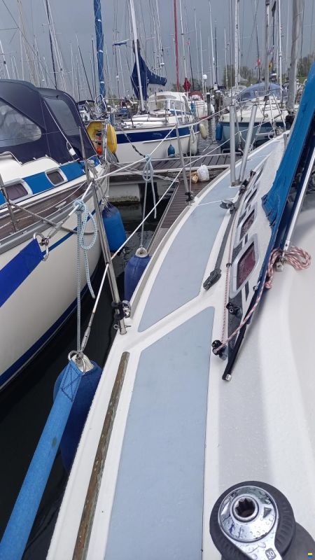 Dehler 29