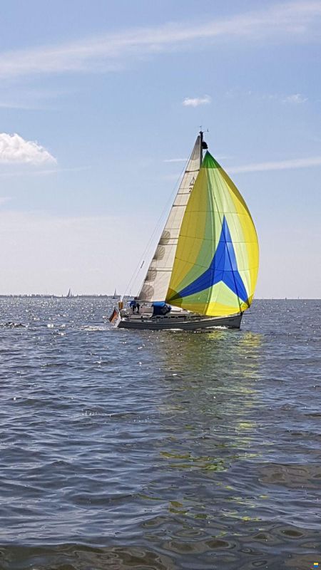 Dehler 29