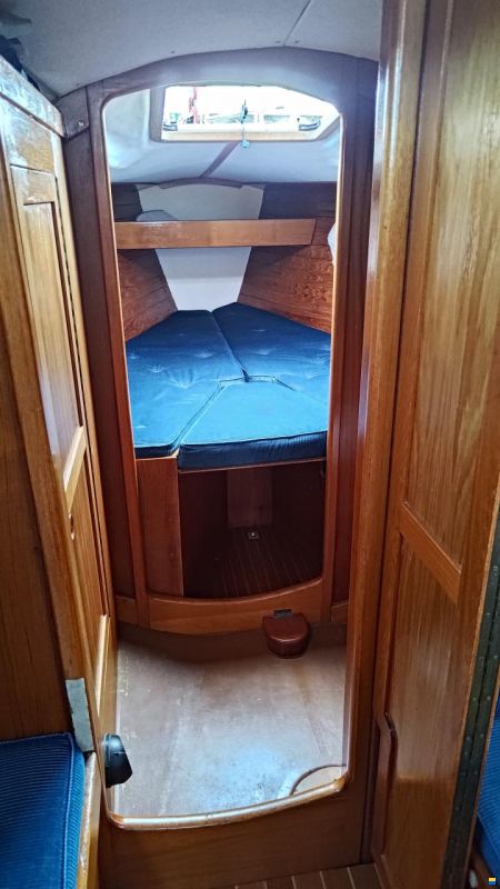 Aphrodite 29