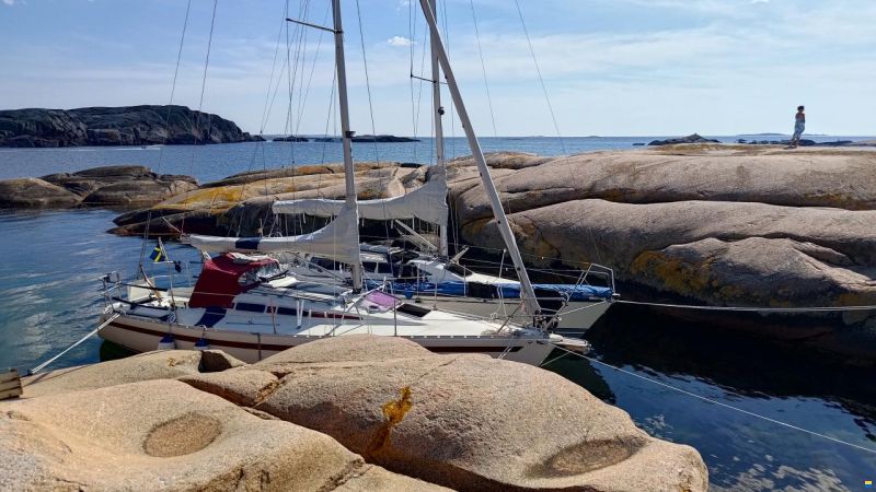 Aphrodite 29