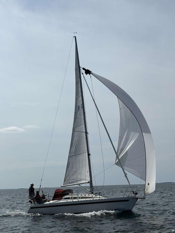 Aphrodite 29