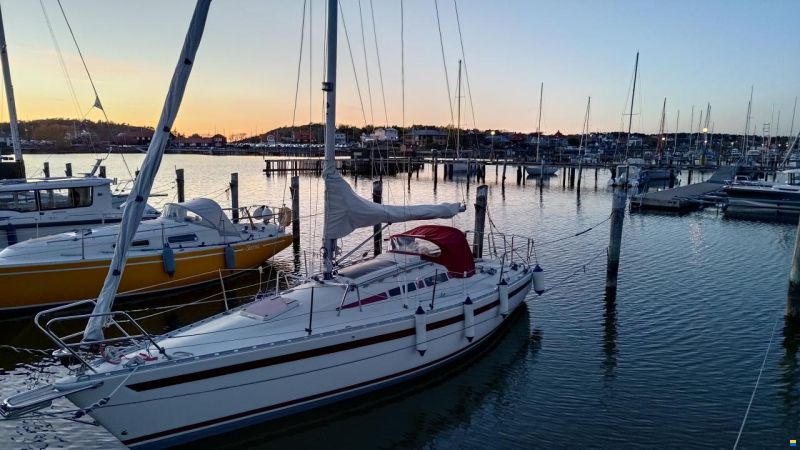 Aphrodite 29