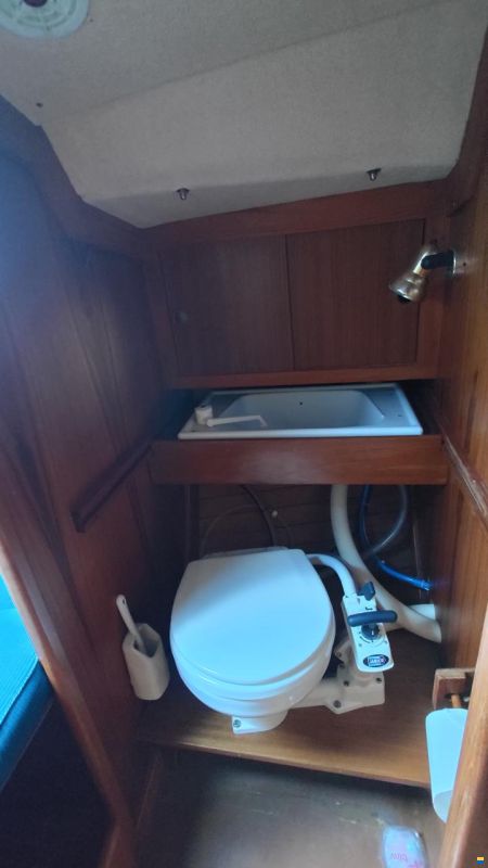 Aphrodite 29