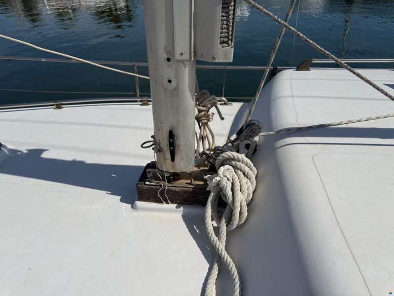 Delfín 28
