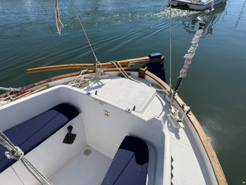 Delfín 28
