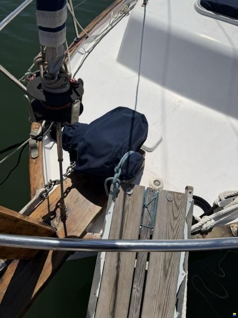 Delfín 28