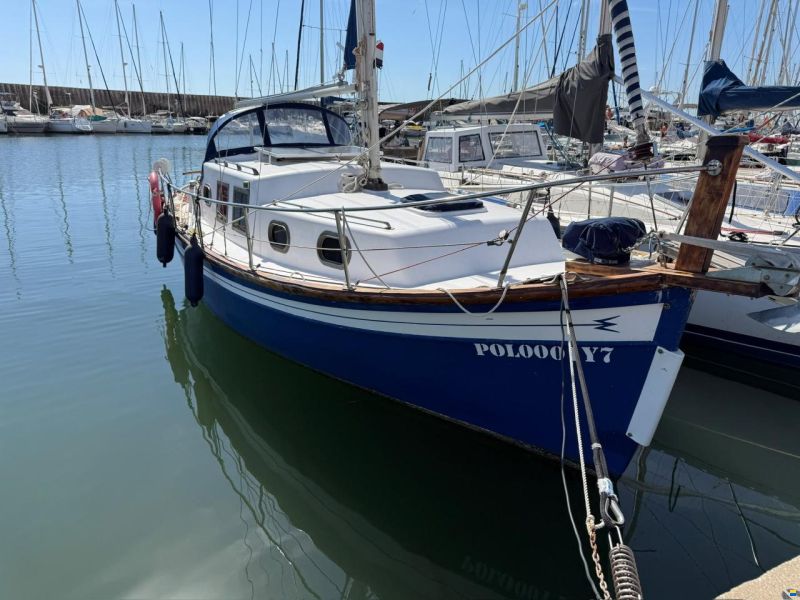 Delf&iacute;n 28