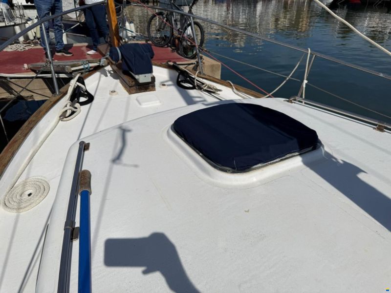 Delfín 28