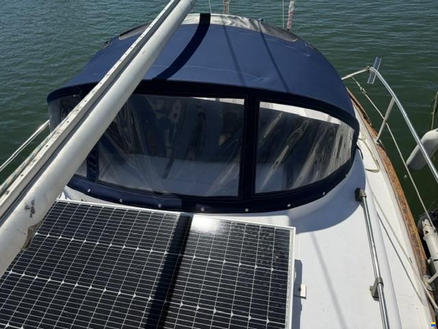 Delfín 28