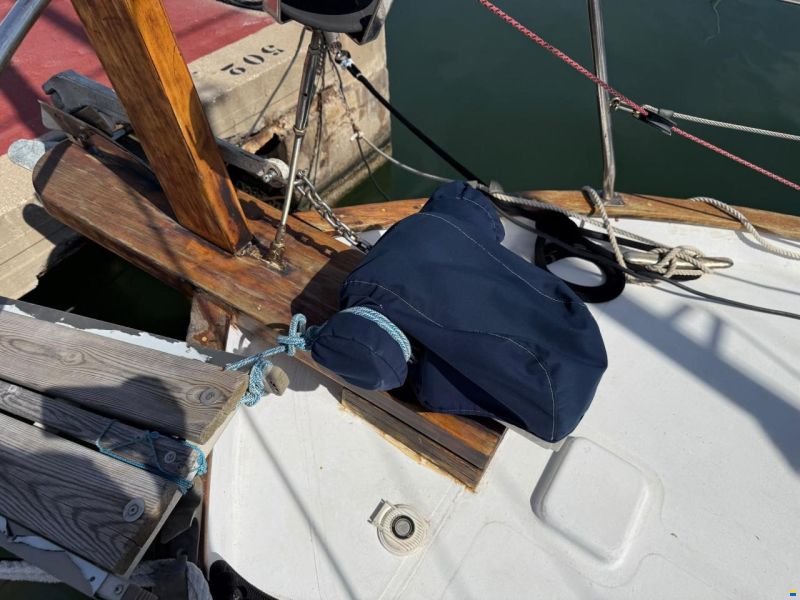 Delfín 28