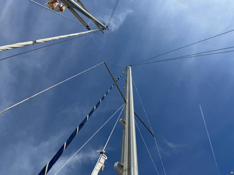 Delfín 28