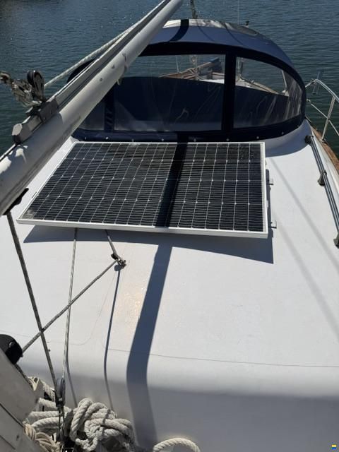 Delfín 28