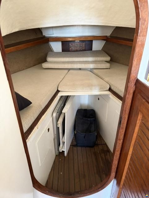 Delfín 28
