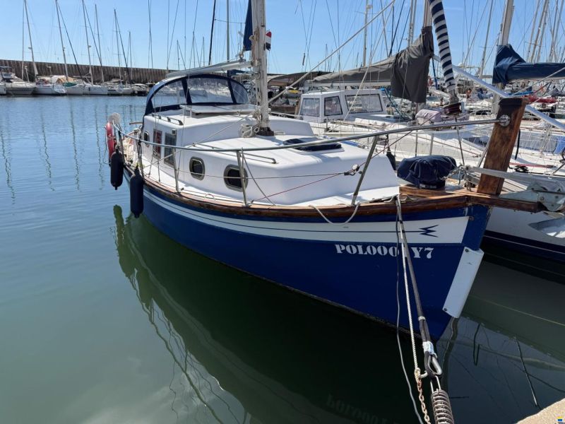 Delf&iacute;n 28