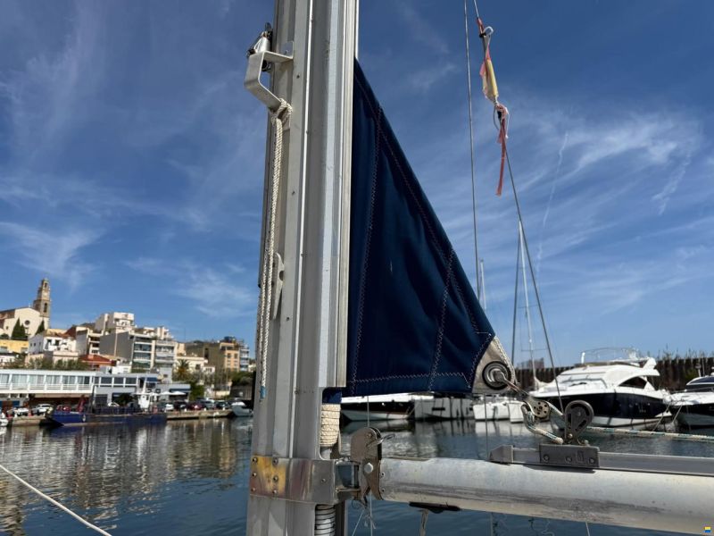 Delfín 28