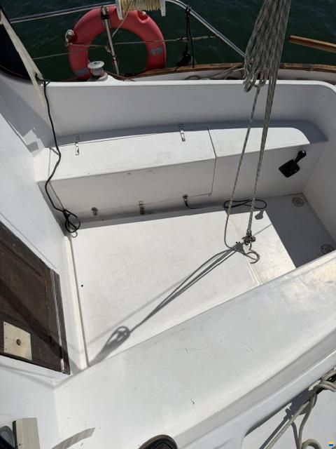 Delfín 28