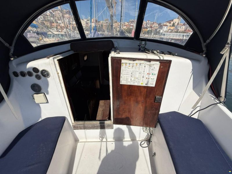 Delfín 28