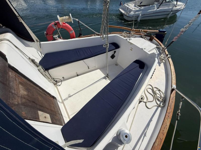 Delfín 28