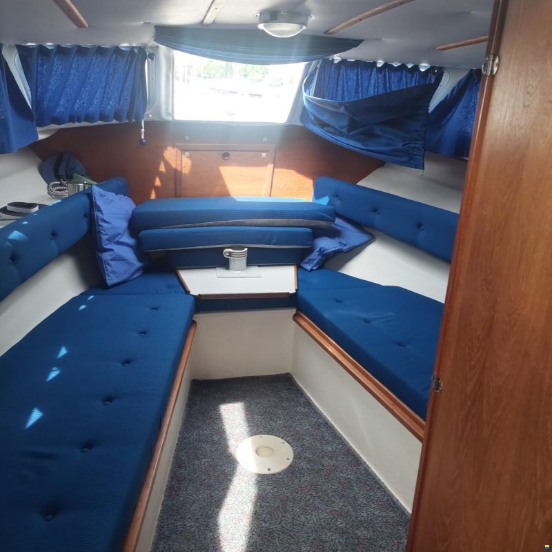 Marex 21