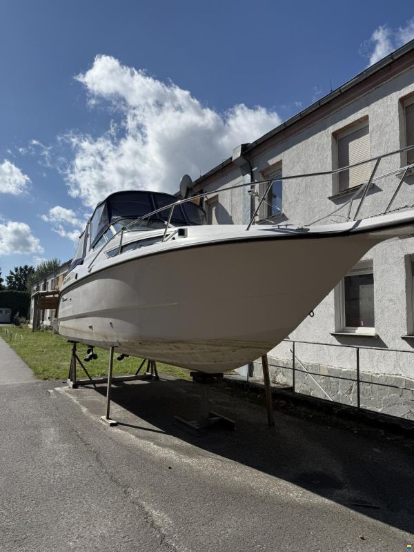 Chaparral Signatur 275