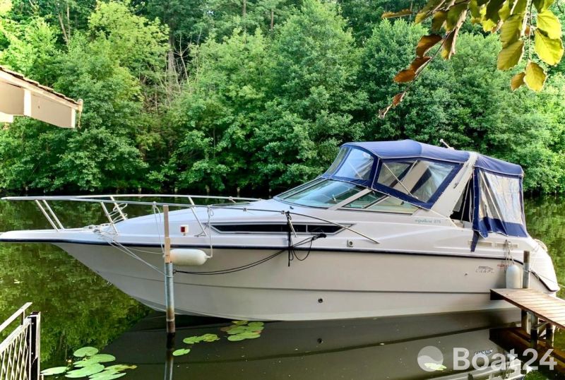 Chaparral Signatur 275