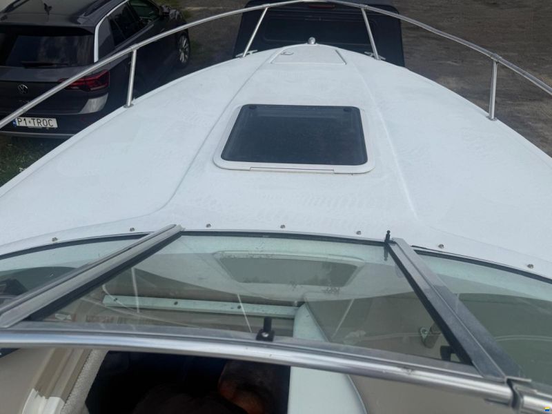 Sea Ray 230