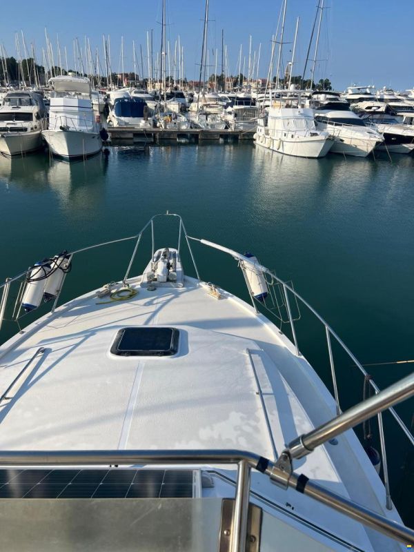 Edership 37