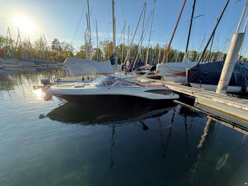 Viper 223 Toxxic