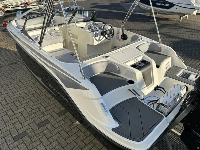 Bayliner Element M17