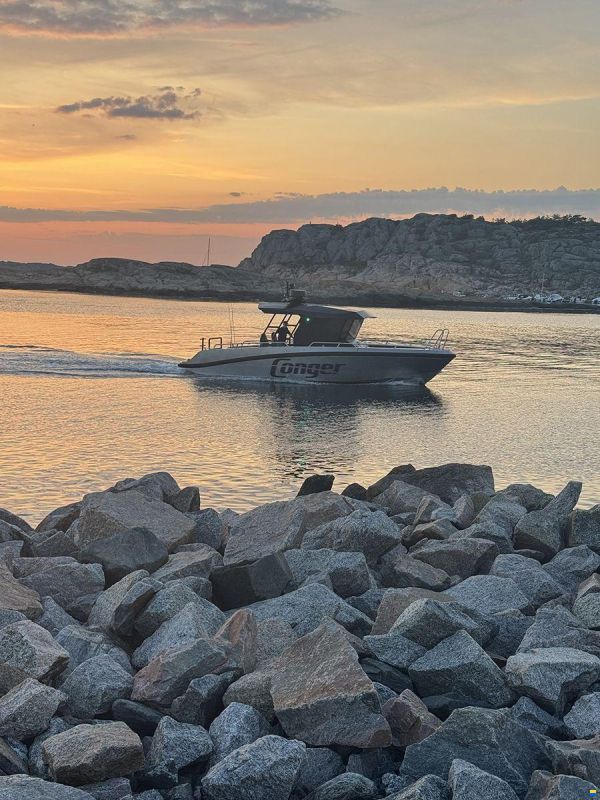 Conger C34