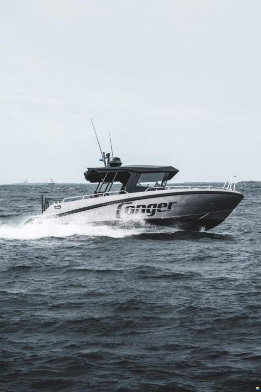 Conger C34