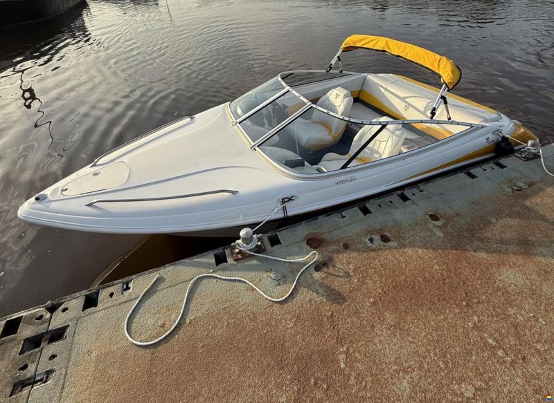 Campion Allante 505